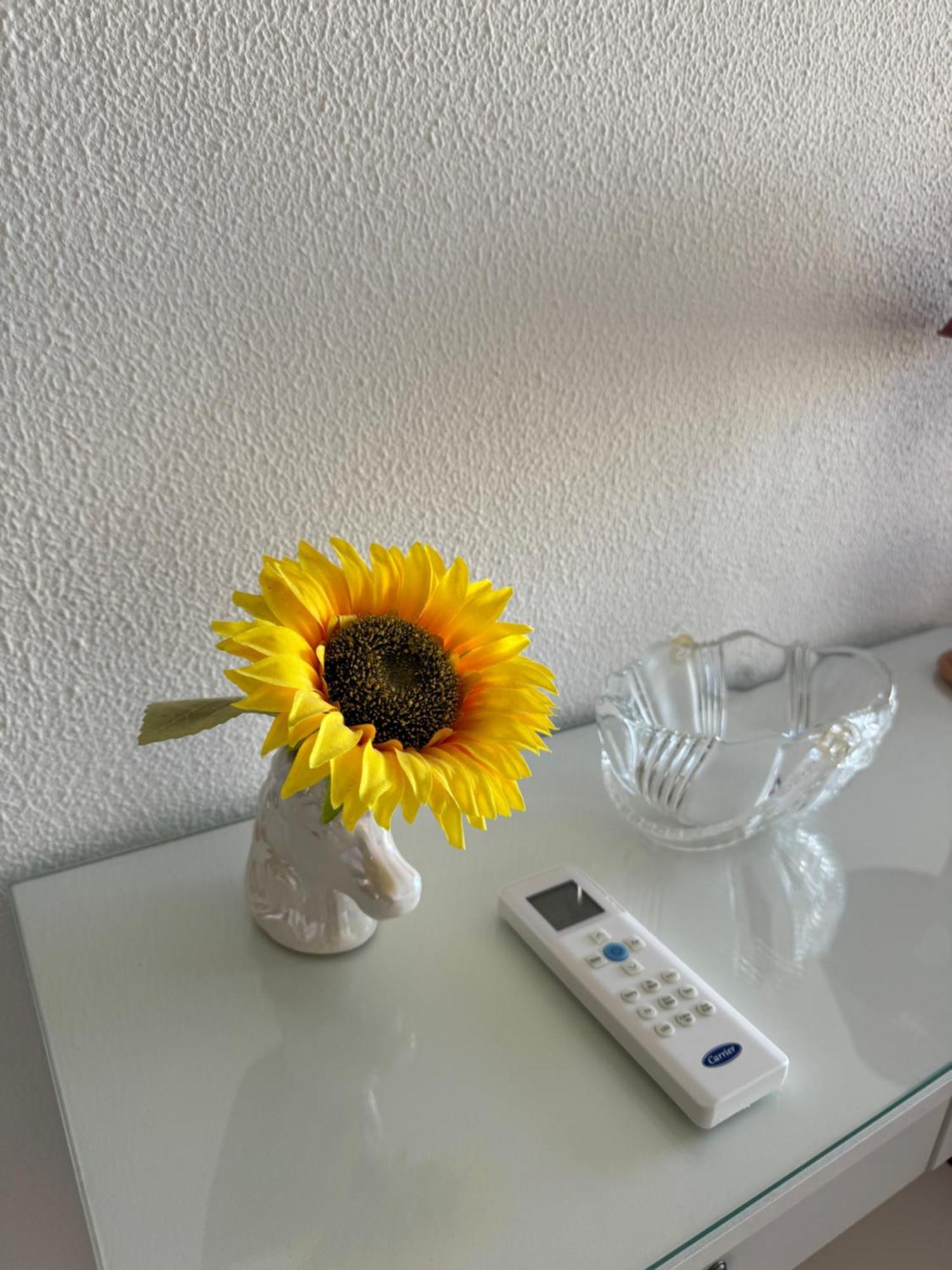 Apartment Algarve - Beach Front - Free Wifi - Air Con Armacao de Pera Exterior photo